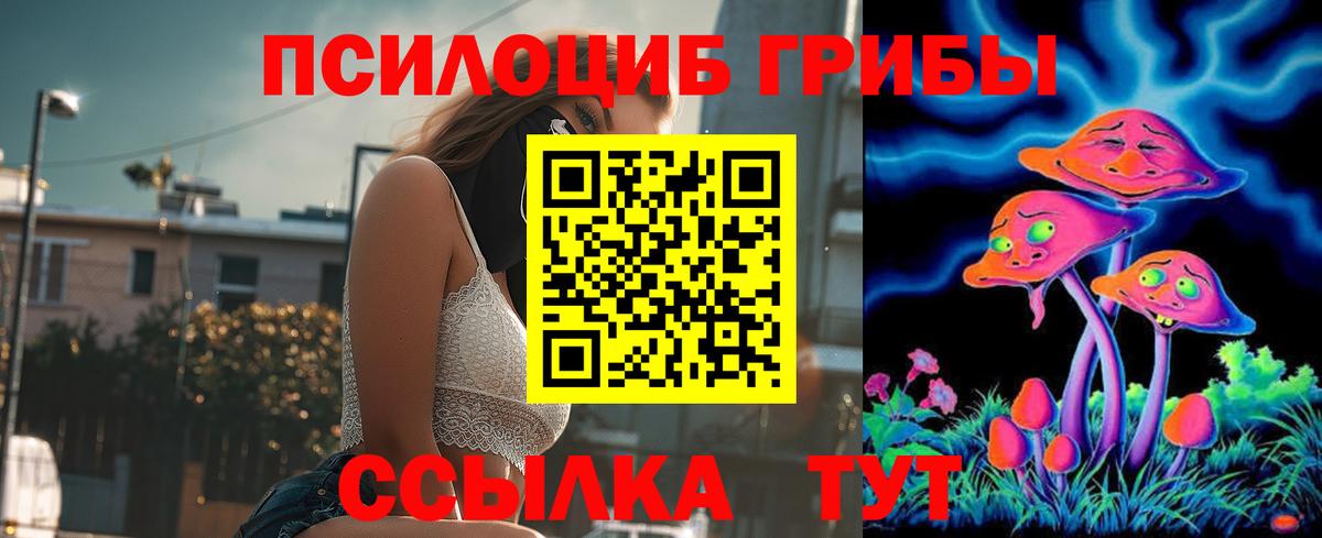 Псилоцибиновые грибы Psilocybe  Вход с VPN  Черногорск 